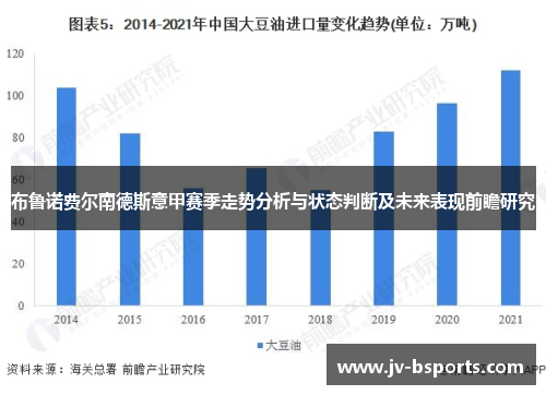 布鲁诺费尔南德斯意甲赛季走势分析与状态判断及未来表现前瞻研究
